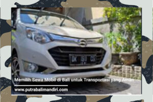 Memilih Sewa Mobil di Bali untuk Transportasi yang Aman - Putra Bali Mandiri